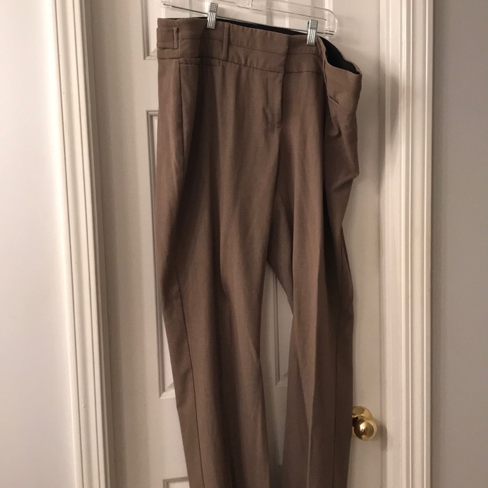 Dress Slacks - Maurices